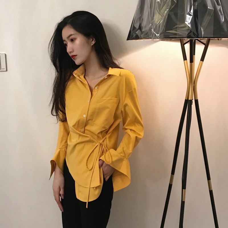 

Cheap wholesale 2019 new autumn winter Hot selling women's fashion casual ladies work Shirts FP8