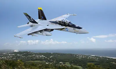 Scale SkyFlight LX EPS Twin 70MM EDF F18 Jolly Roger PNP/ARF RC Airplane Model W/ Motor Servos ESC W/O Battery