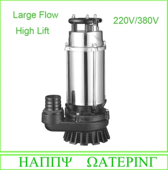 

Large Flow 1.1KW Stainless Steel Submersible Well Pump 220V/380V 15M3/H Flow Max for Agriculture