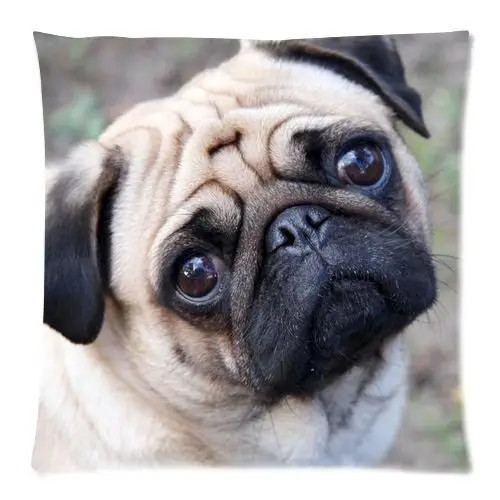 Lovely Pug Dog Face Cushion Cover Pug Dog Decorative Throw Pillow Case