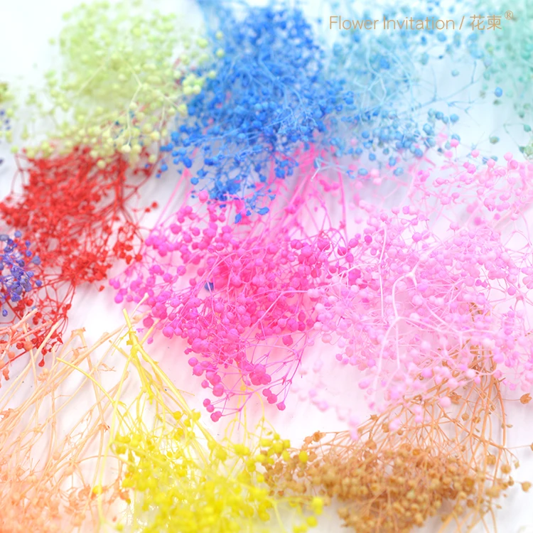 

Flower Invitation Domestic mantianxing flower handmade diy glue dried flowers material flower plant three-dimensional