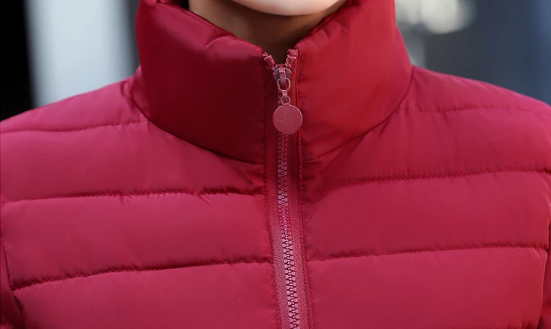 Женская Базовая куртка со стоячим воротником, зимняя приталенная однотонная Осенняя женская зимняя куртка, короткая женская куртка, Женская куртка Inverno