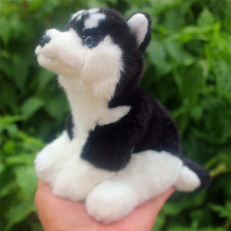 16 cm Peluche Husky simulación Peluche perro Peluche muñecas animales niños pequeños juguetes de regalo para niños, regalo personalizado Navidad 16 cm Peluche Husky simulación Peluche perro Peluche muñecas animales niños pequeños juguetes de regalo para niños, regalo personalizado Navidad