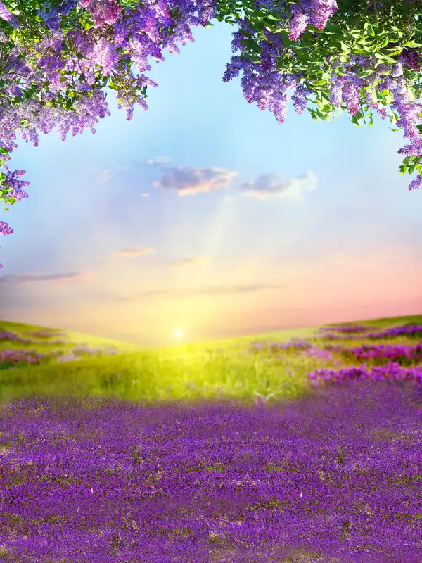 SZZWY 12x8ft Morning Misty Forest Scenic Backdrop Vinyl Sunshine Light Beams Go Through The Lush Wood Purple Flowers Field Background Nature Scenery Landscape Birthday Party Banner Kids Shoot