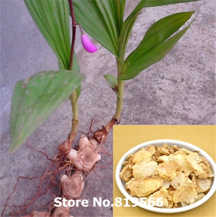 

sale chinese Bletilla striata 250g natural baiji herbal suplementos tea health care products direct selling limited