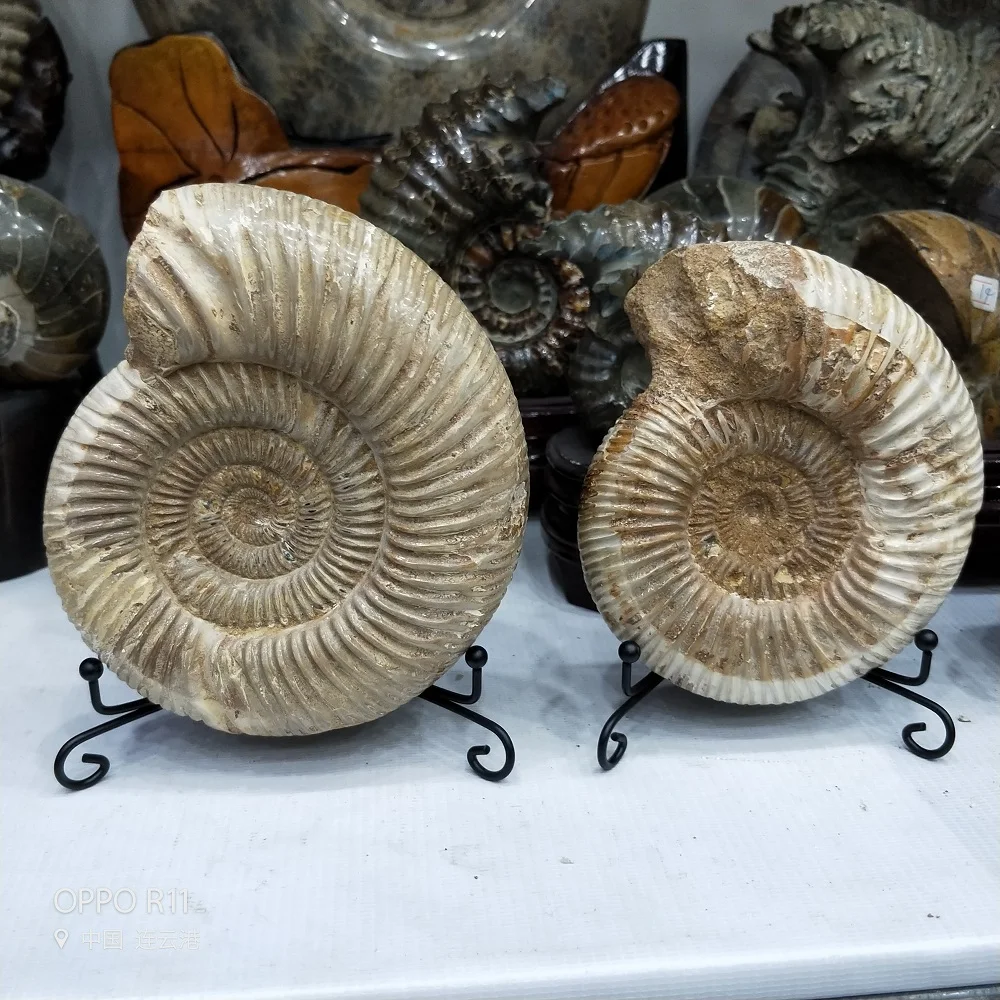 IMG20181108145821