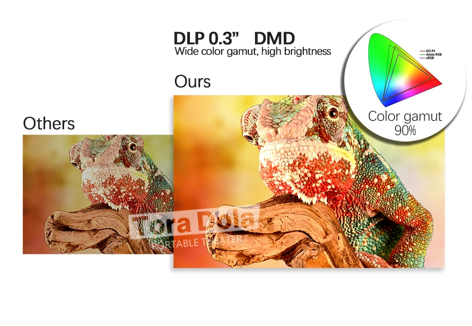 DLP-