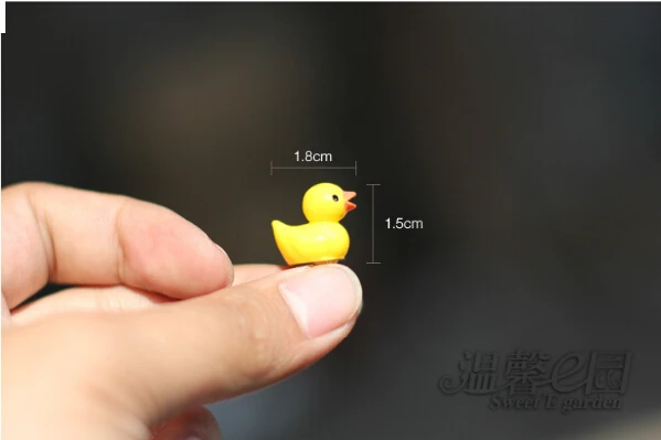 QQ20170506154206