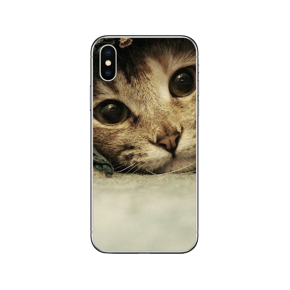 Чехлы для телефонов ciciber с милым котом котенком для iPhone 11 Pro XR X XS MAX Funda Coque для Iphone 7 8 5S 6 6S Plus SE Мягкий ТПУ чехол Капа