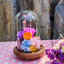 1 стекло для ПК микро пейзаж ваза DIY креативный вечный цветок домашний Европейский Декор стеклянная бутылка OJ 2053