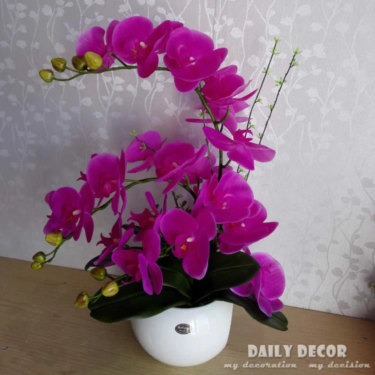 Hình ảnh có liên quan