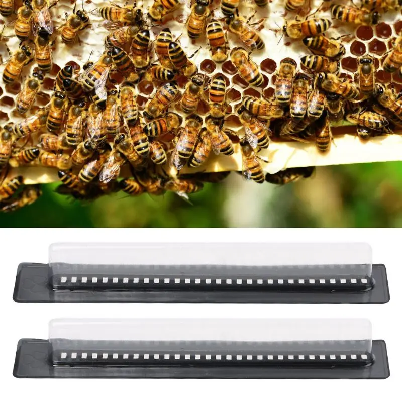 1PCS BETTER Beekeeping Trap Small Hive Beetles without poisons or chemicals