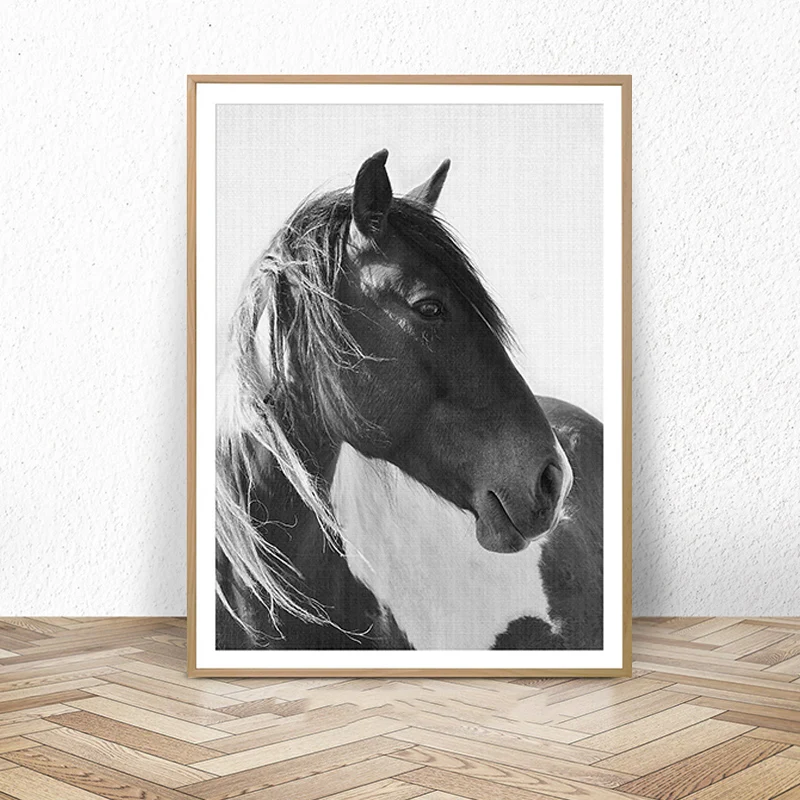 Horse Print, Photography Black and White Wall Art,Printable Horse Art, Black and White Horse Photo