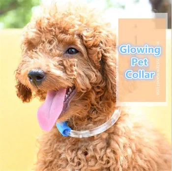 

Pet LED Collar Night Safety Glow Flashing Dog Cat Collars Led Luminous collares para perros A57
