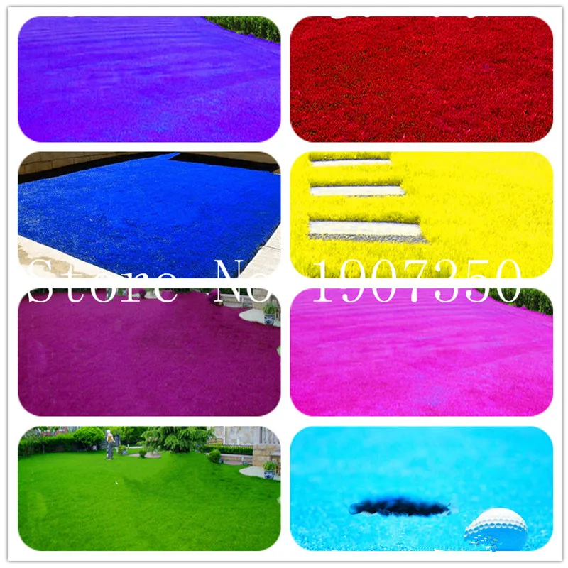 

200 Pcs Rare Color Grass bonsai Rare Lawn bonsai Semenatsvety Perennial Garden Outdoor Ornamentals Grass Germination Rate of 95%