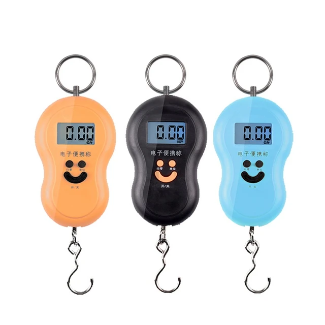 Mini 50Kg/10g Portable LCD Display Luggage Fishing Hook Electronic Weight  Digital Scale Pocket Weighing Hanging Scale