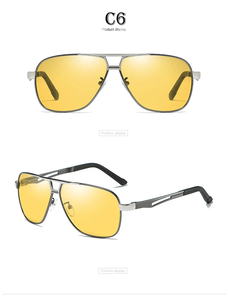 Chameleon Sunglasses (15)