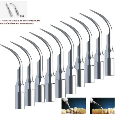 g1 para Ems Lote Nova Dental Scaler Scaling Ponta & Woodpecker Quente 10 Pçs –