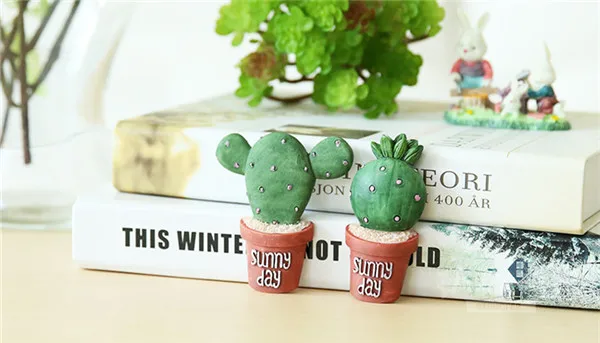 Cute Cactus Succulent Plants Fridge Magnets - 5