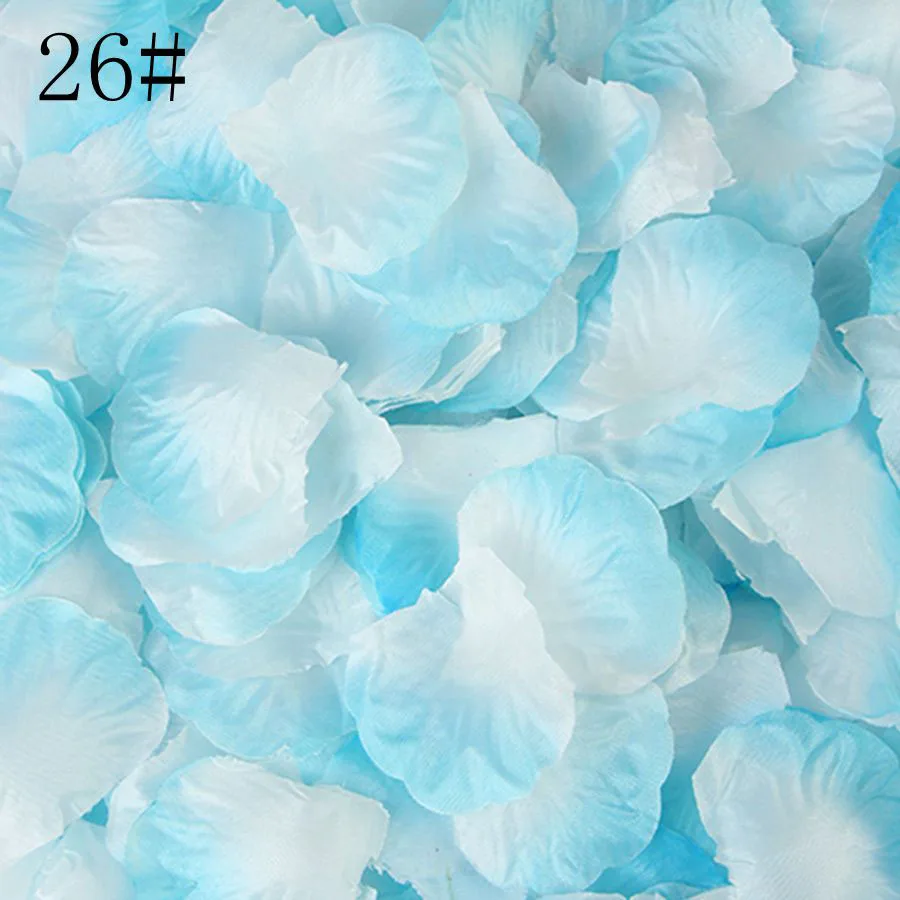 26