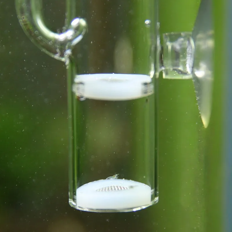 Аквариум большой яичный инкубатор кислородное стекло для аквариума хрустальные креветки окормленное яйцо