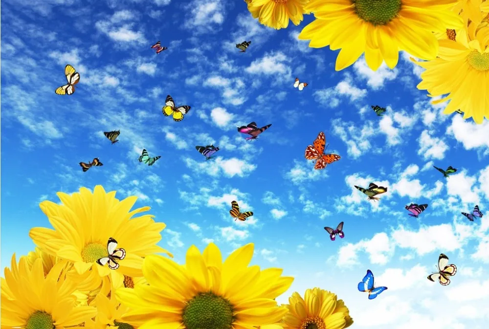 2018-04-14_223058_conew2