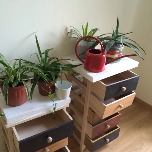 TB1bLB8JFXXXXbGXFXXXXXXXXXX_!!0-rate