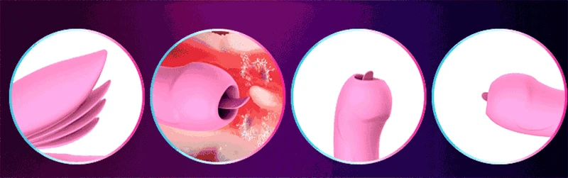 12.gif