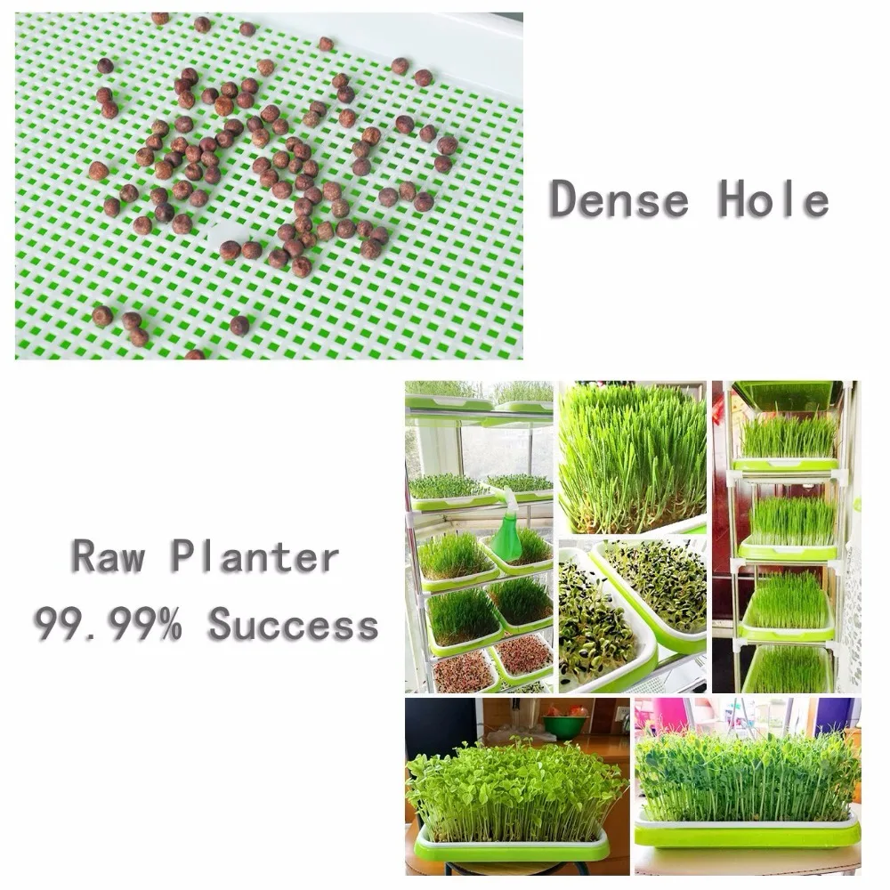 Hydroponics Seedling Tray Sprout Plate Hydroponics System To Grow Nursery Pots Tray Vegetable Seedling Pot Plastic Nursery Tray