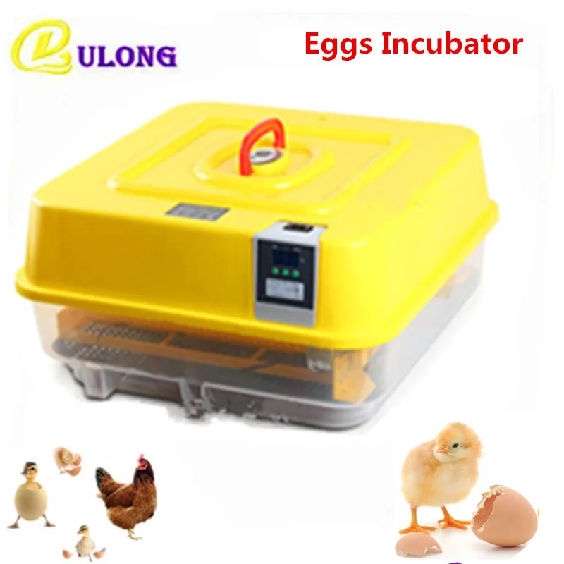 

Digital Automatic Hatchers for Quail Eggs Mini Multifunctional Eggs Turner Chicken Brooder Hatching Machine