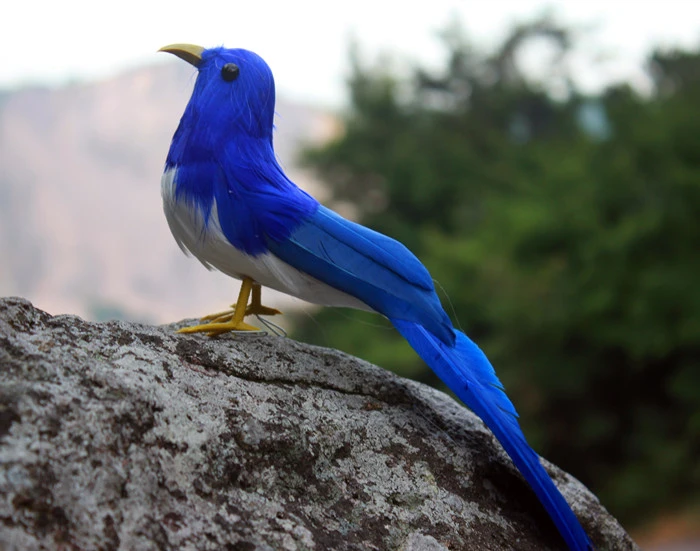 小さなかわいいおもちゃ 青い鳥 泡と毛皮 美しい鳥 サイズ約22cm 1143 Cute Gift Gift Giftsgift Cute Aliexpress