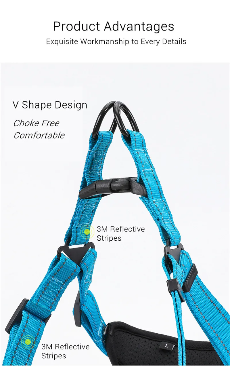Dog Harness (5)