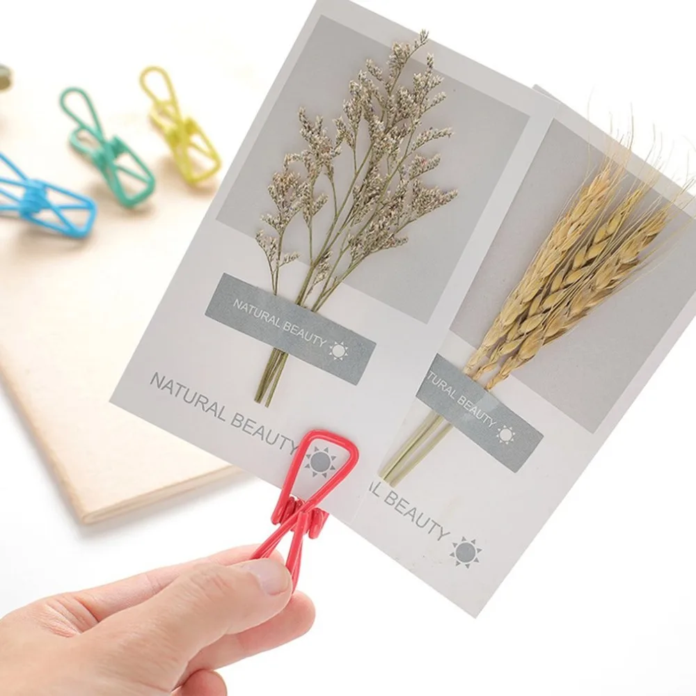 Windproof Clothespins (6)