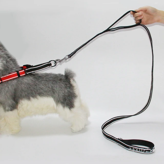 Dog Leash 2 Handles Black Nylon Padded Double Handle Leash For Greater