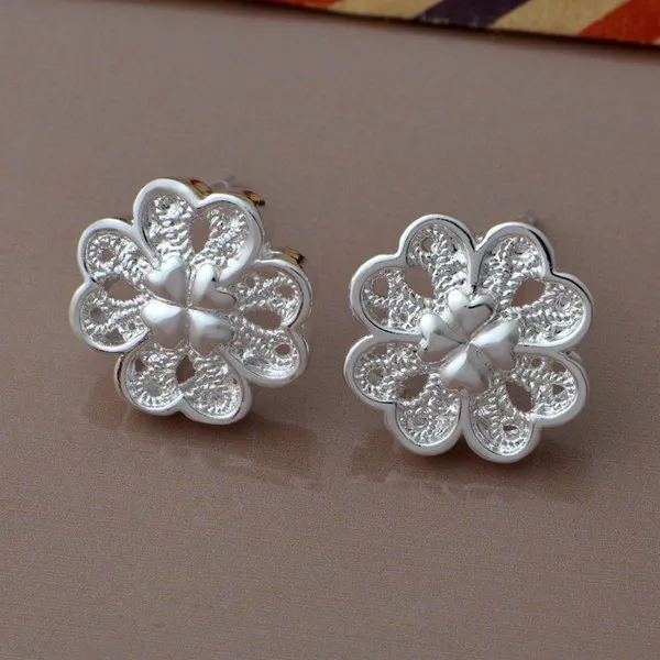 

wholesale High quality silver Fashion jewelry errrings WE-719