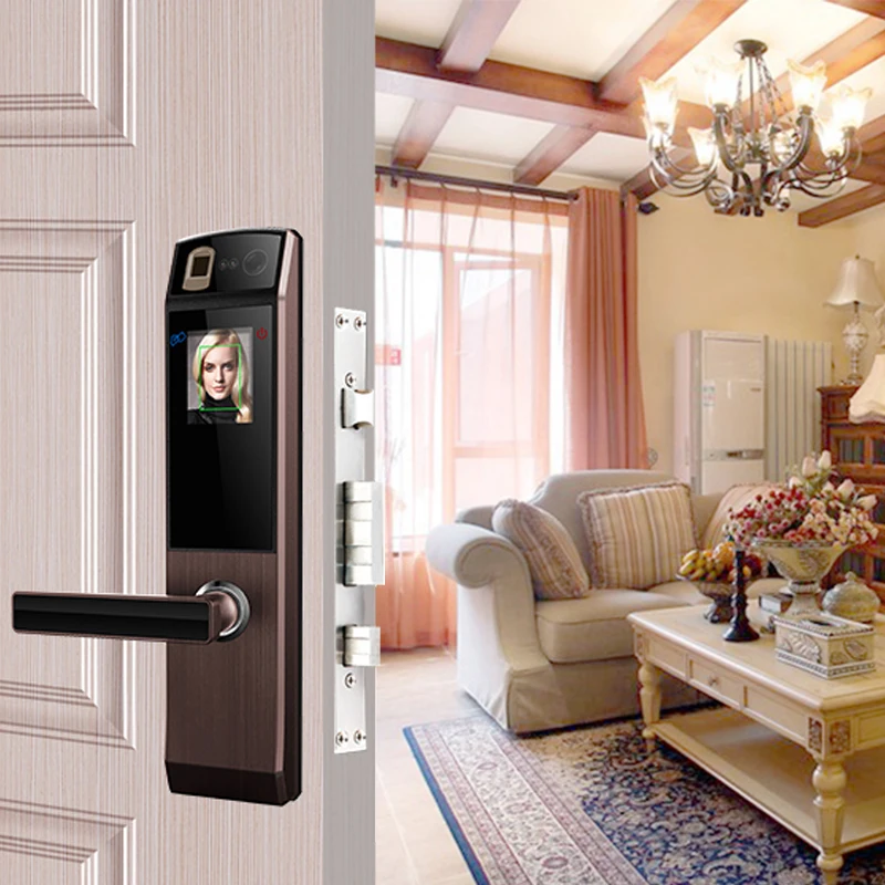 Eseye Smart Electronic Door Lock Safe Smart Face Recognition Door Locks Fingerprint Digital Door Lock Password & RFID Unlock