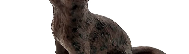 -2--DW-M-LP531-535_15