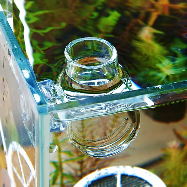Crystal Glass Pot Plant Cup Holder Red Shrimp Aquarium Fish Tank