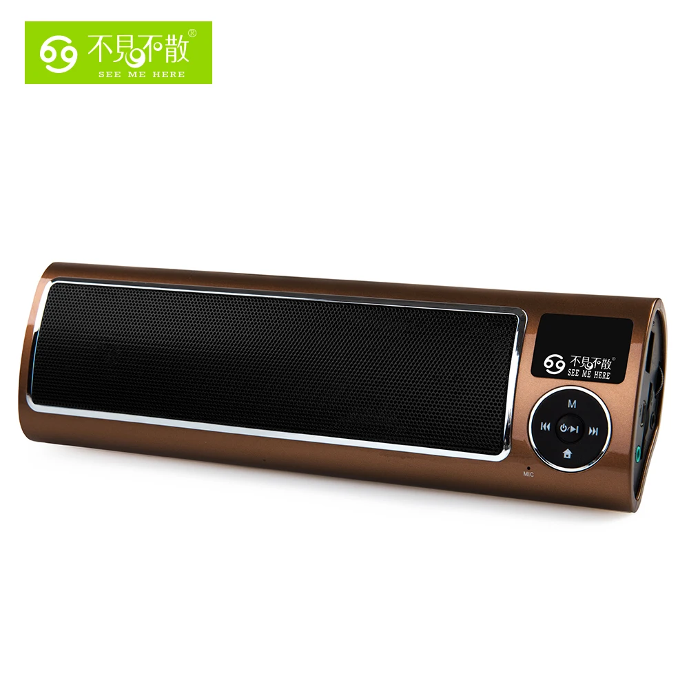 LV520 iii радио портативный динамик MP3 плеер специально для Olders с громким и высоким