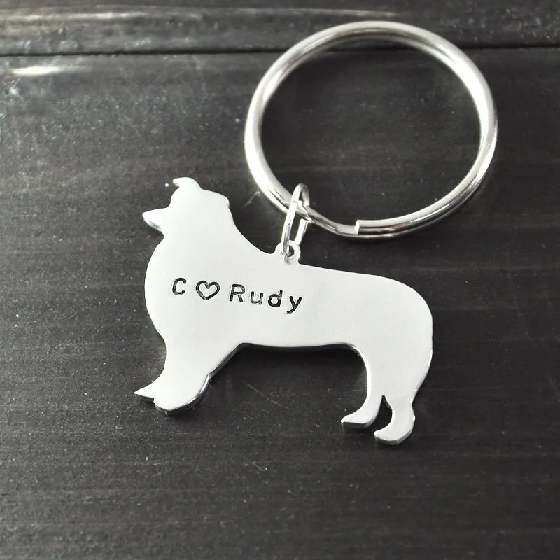 border collie