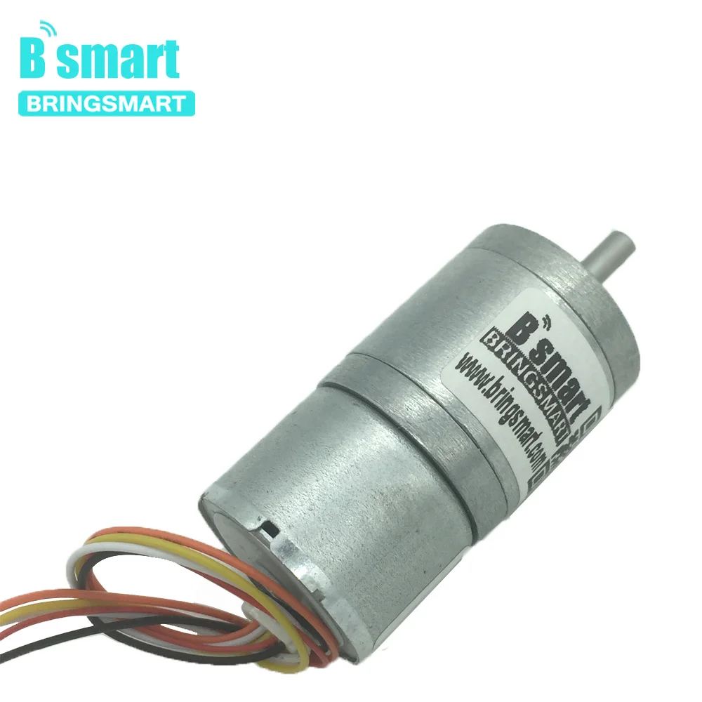 Bringsmart-for-Hair-Curler-JGA25-2418-Bldc-Gear-DC-Motor-12V-Motor-24V-Motor-Electrico-Reductor (1)