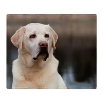

Labrador Retriever Soft Fleece Throw Blanket Throws Fleece Blanket Manta Coberto For Sofa/Bed/Car/Office