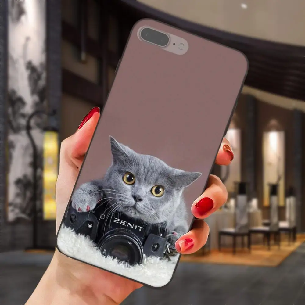 Серая кошка с Zenit камерой для Huawei Honor 5A 6A 6C 7A 7C 7X 8A 8C 8X 9 10 P8 P9 P10 P20 P30 Mini Lite Plus мягкая