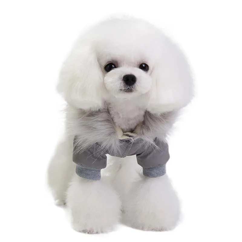 Warm Dog Clothes For Small Dog Windproof Winter Pet Dog Down Padded Clothes Puppy Outfit Yorkie Chihuahua Clothing Jacket&Coat
