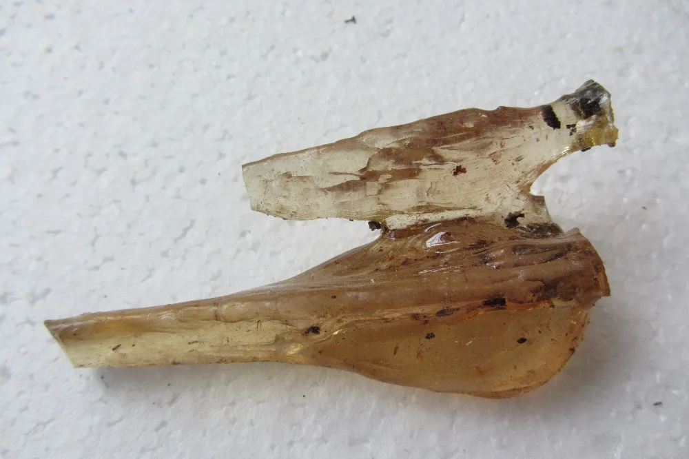 26 0 г янтарного копального насекомого насекомые омолаживающие|insect|insect amber |
