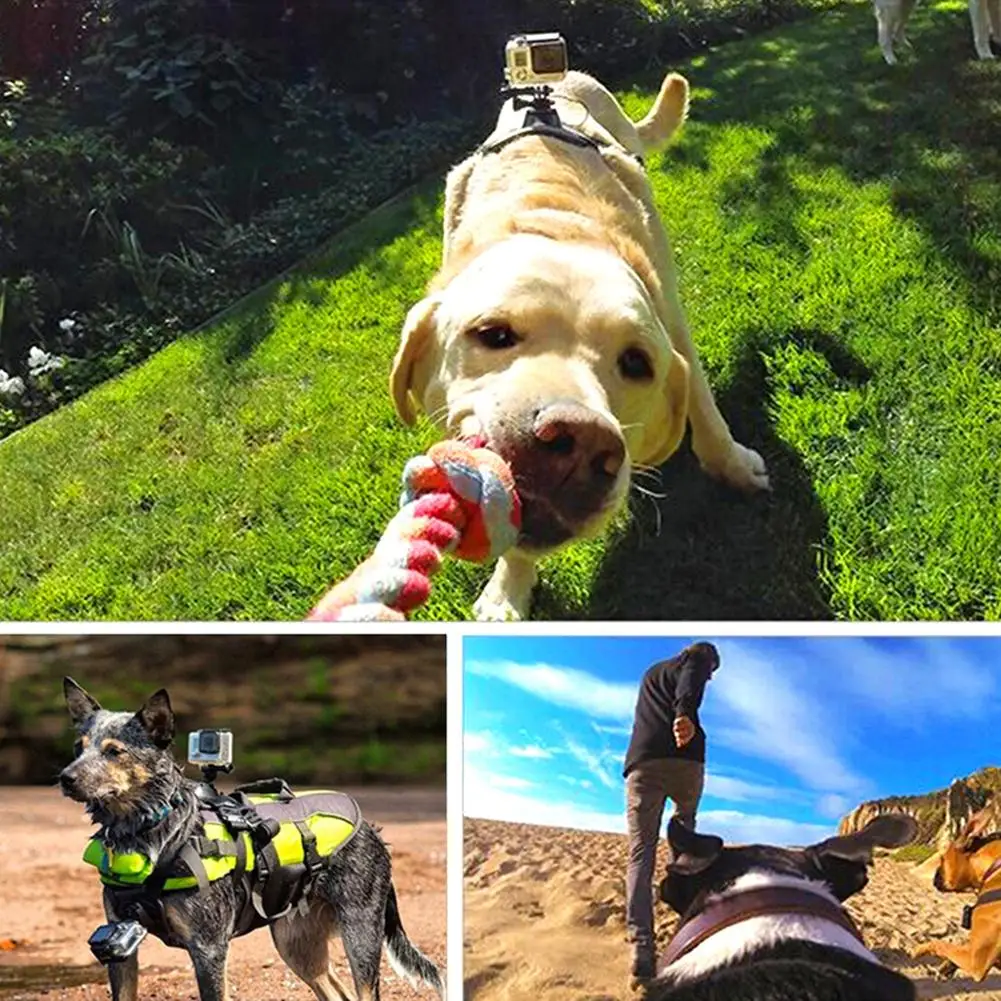 

Hound Dogs Fetch Harness Adjustable Chest Strap Belt Mount for GoPro Camera New