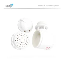 1Pcs big size medicine box spice spa steam generator nozzle for steam generator steam shower room
