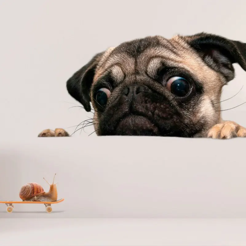 

Pug Dogs Snail 3D Wall Sticker Bathroom for Home Decor kids room cute Animal Vinyl Decal Art Poster Hole View Toilet Stickers