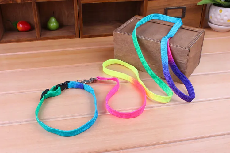 Dog leads 6