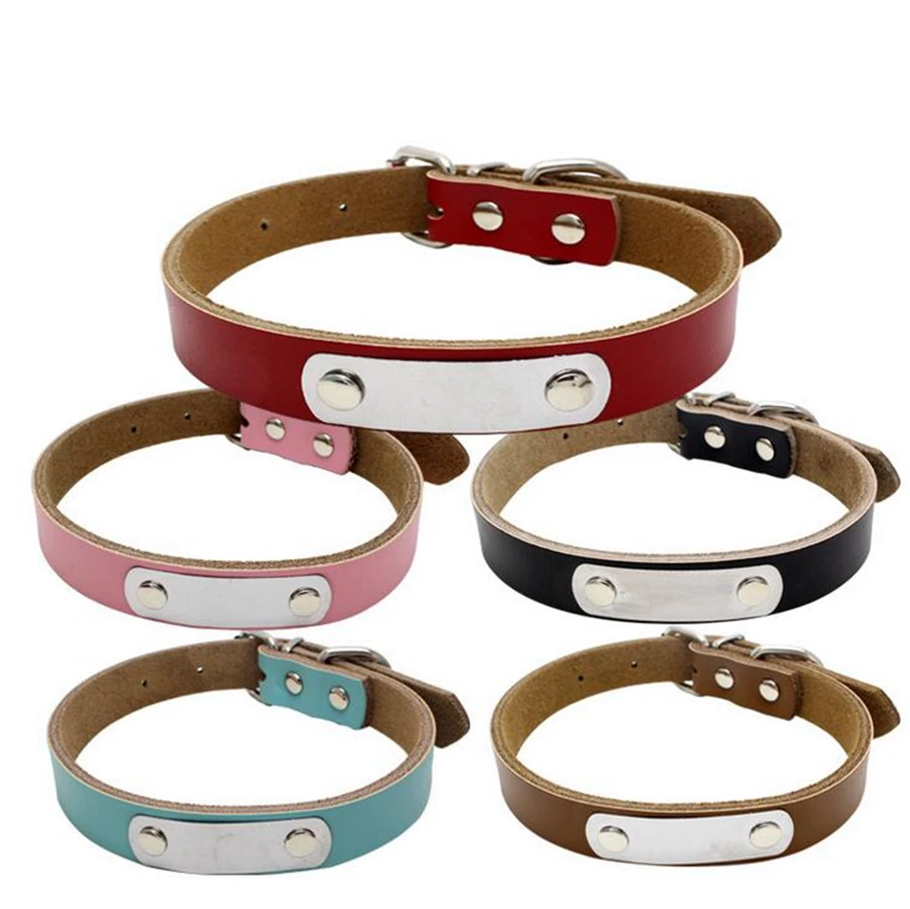 dog id tags and collars